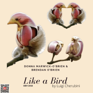 Like a Bird by Luigi Cherubini